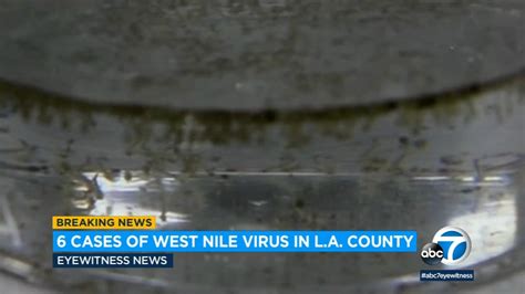 Human case of West Nile virus reported in Lake County